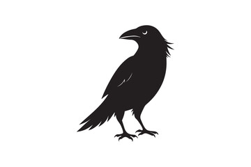 Crow silhouette vector illustration,