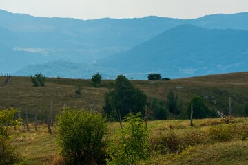 Obraz premium Hilly countryside with scattered trees and mountains. Durmitor National Park Montenegro