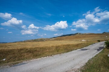 Lonely road through grassy plains with mountains
