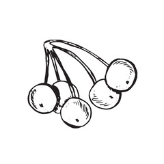  Graphic forest theme. Hand draws graphic illustrations on a white background. Graphic forest theme for design