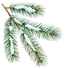 Obraz premium PNG Snow-covered pine branch illustration