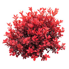 A vibrant red bush with lush leaves against a Transperant background., creating a striking contrast and a visually appealing composition.