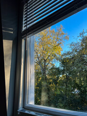 Window overlooking autumn