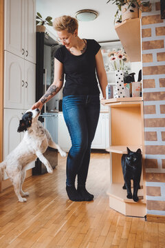 A woman with short blonde hair and tattoos interacts with a jumping dog in a cozy kitchen. A black cat watches from a shelf nearby, creating a warm, homey atmosphere.