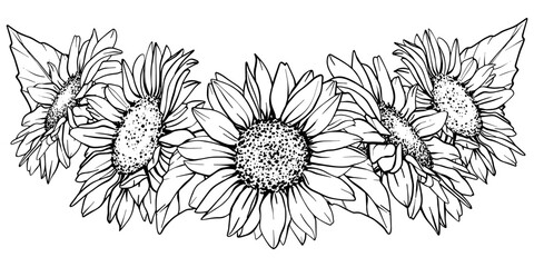 Vector Sunflower illustration. Flower arrangement drawing in line art style. Botanical sketch of chamomile painted by black inks. Hand Drawn Bouquet of daisies. Graphics element outline