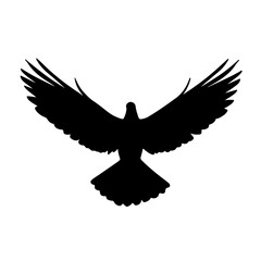 Fototapeta premium silhouette of a pigeon with transparent background