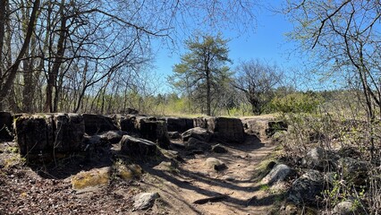 Some rock formations in the forest