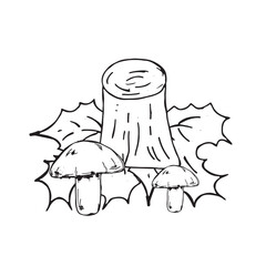  Graphic forest theme. Hand draws graphic illustrations on a white background. Graphic forest theme for design