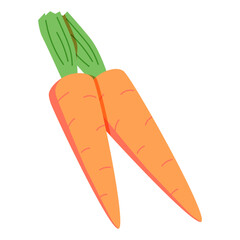 Carrot vegetables with green leaf. Fresh vitamin food. Natural organic crunchy orange veggies, farm agriculture food.