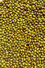 Detail of a surface covered with dry uncooked mung beans