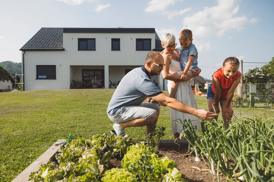 A family gardening together in a backyard. Two adults and two children are tending to plants, with a house in the background. The scene is bright and cheerful, showcasing a family bonding over gardeni - Powered by Adobe