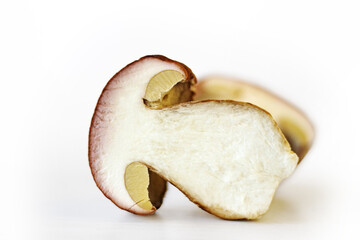 Freshly sliced porcini mushroom. Closeup of white fungus slice. Half of boletus mushroom with worm traces. Copy space. Isolated on white background.
