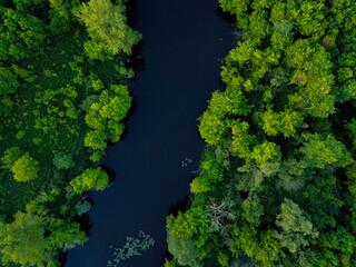 Wodna ścieżka © Sebastian