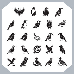 Set of black bird silhouettes and birds collection, bird set design. Eagle, Parrot, Penguin, Owl, Sparrow, Peacock, Flamingo, Hummingbird, Ostrich, Hawk.