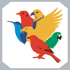 Set of black bird silhouettes and birds collection, bird set design. Eagle, Parrot, Penguin, Owl, Sparrow, Peacock, Flamingo, Hummingbird, Ostrich, Hawk.