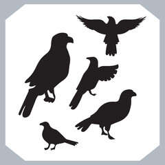 Set of black bird silhouettes and birds collection, bird set design. Eagle, Parrot, Penguin, Owl, Sparrow, Peacock, Flamingo, Hummingbird, Ostrich, Hawk.