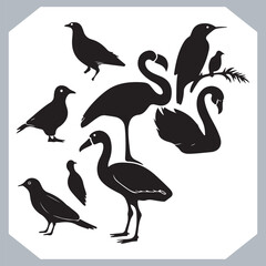 Set of black bird silhouettes and birds collection, bird set design. Eagle, Parrot, Penguin, Owl, Sparrow, Peacock, Flamingo, Hummingbird, Ostrich, Hawk.