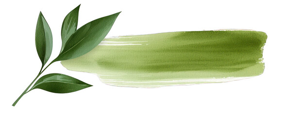 A serene green watercolor brushstroke complemented by leaves, perfect for nature-themed designs and backgrounds. transparent background