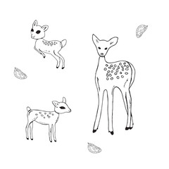 Graphic deer. Hand draws graphic illustrations on a white background. Graphic deer for design
