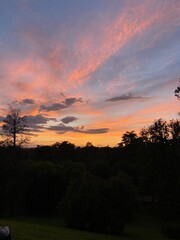 sunset in the forest