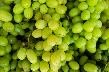 A close up a Fresh Fruit Brunch Green Grapes on Shelf in Fresh Fruit market. Bunch of green fresh ripe juicy grapes as background, close up