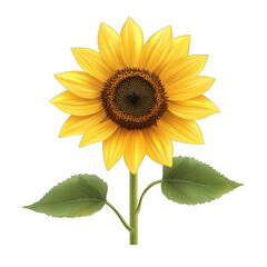 Obraz premium A vibrant sunflower with bright yellow petals and a dark center, symbolizing happiness and positivity in nature. transparent background