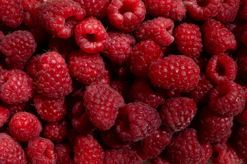 Fresh large organic raspberries. Top view. Taste and aroma concept