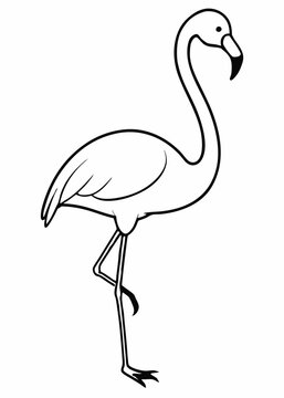 recommend clip art: flamingo standing on one leg, vector illustration line art