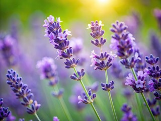 Obraz premium Softly focused, delicate purple petals of fresh lavender bloom against a blurred green background, showcasing intricate texture and calming beauty in this intimate macro capture.