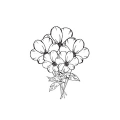  Graphic flowers. Hand draws graphic illustrations on a white background. Graphic flowers for design