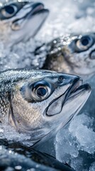 fresh fish on ice in a market display, seafood freshness concept