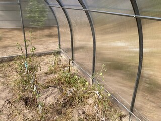 Installation of a metal frame greenhouse with polycarbonate covering