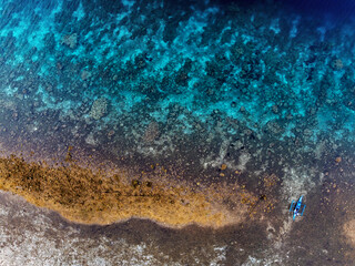 Topdown aerial photograph of the coral reef in Moalboal, Cebu, Philippines 