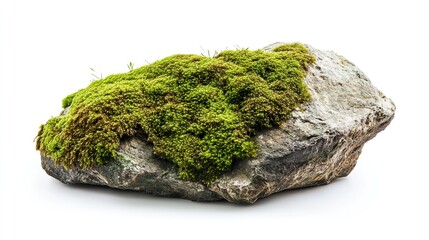 A large rock covered in moss
