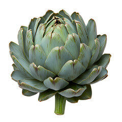 Fototapeta premium A close-up of an artichoke heart, isolated on a transparent background.