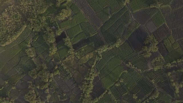 vista a&eacute;rea de fazenda