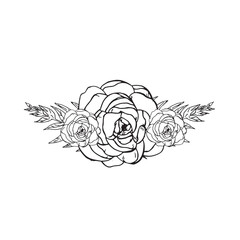  Graphic flowers. Hand draws graphic illustrations on a white background. Graphic flowers for design