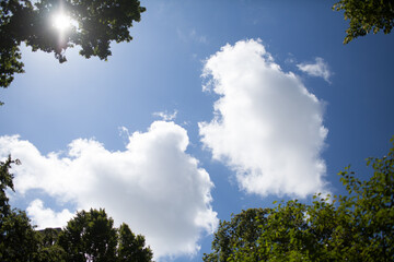Clouds and sky framed by trees