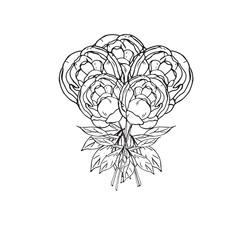  Graphic flowers. Hand draws graphic illustrations on a white background. Graphic flowers for design