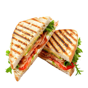 Close-up of a delicious grilled sandwich filled with fresh vegetables, ham, and cheese, perfect for a healthy meal or snack.