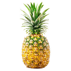 Fresh ripe pineapple isolated on white background. Vibrant tropical fruit with green leaves and golden-yellow skin.