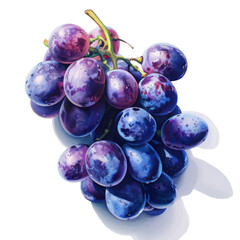 Vibrant and fresh bunch of purple grapes isolated on white background, perfect for fruit and healthy eating themes.
