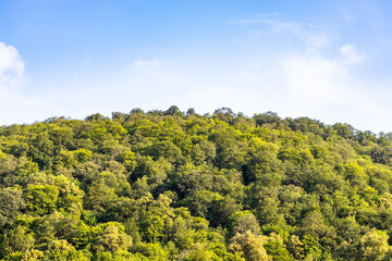 Obraz premium overgrown mountain with green forest in Dilijan