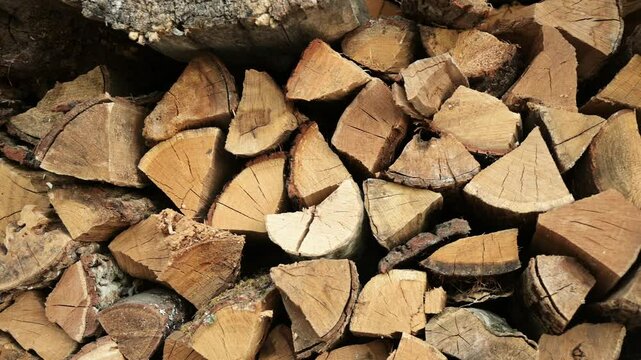 A wall of chopped logs is stored stacked. 