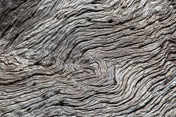 Wood texture and pattern