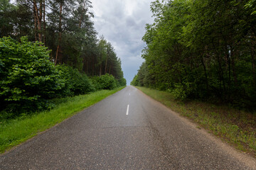 Wet rain field paved road in the forest