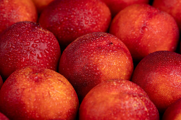 ripe wet red nectarines folded together