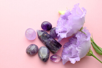 Beautiful lilac eustoma flowers (lisianthus) in full bloom with natural stones amethyst and rose quartz. Flowers and semi-precious stones on a pink background.