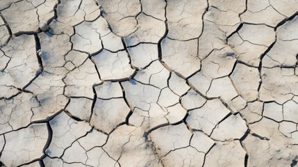 Fototapeta premium A close-up of cracked earth, revealing the dry and parched landscape.