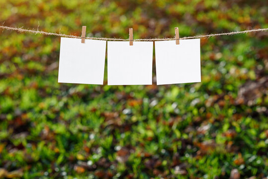 Close up of three white note papers hung by wooden clothes pegs on the background of park.